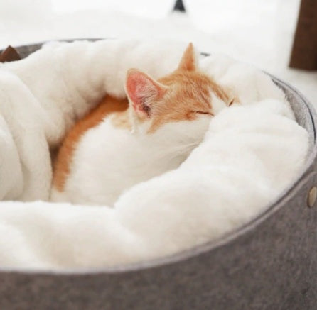 Cozy Haven Plush Pet Bed – Ultra-Soft & Warm Nest for Cats & Small Dogs